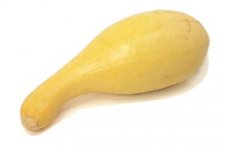 squash-yellowcrookneck.jpg