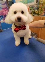 47573761_1804255686363729_4783438895851241472_n.jpg 47573761_1804255686363729_4783438895851241472_n.jpg