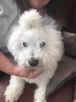 IMG_1050.jpg IMG_1050.jpg