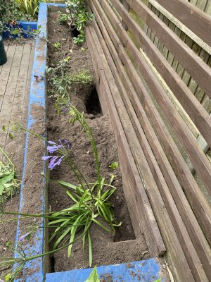 IMG_9693.jpeg IMG_9693.jpeg