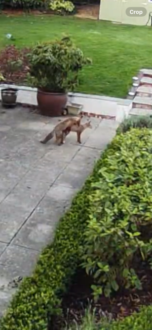 IMG_9689.png IMG_9689.png