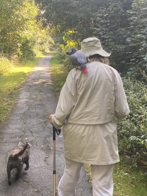 IMG_9945.jpeg IMG_9945.jpeg