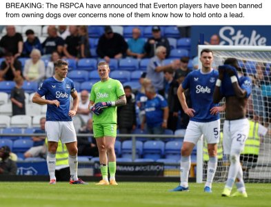 Everton - Lead-34.jpg