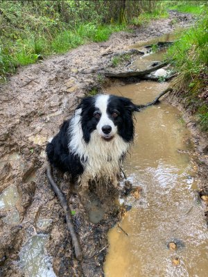 IMG_0558.jpeg IMG_0558.jpeg