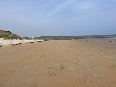 IMG_0638.jpeg IMG_0638.jpeg