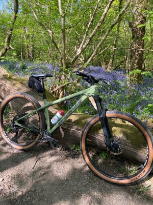 IMG_1871.jpeg IMG_1871.jpeg