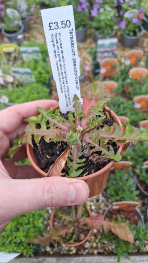 1000019475.jpg 1000019475.jpg