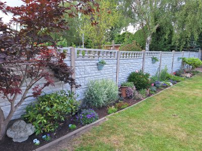 1000019962.jpg 1000019962.jpg