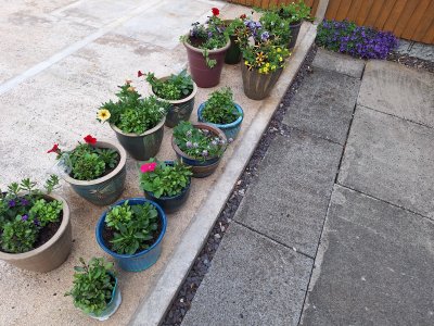 1000019961.jpg 1000019961.jpg