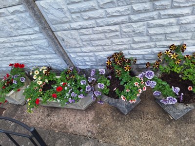 1000019960.jpg 1000019960.jpg