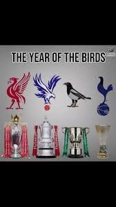 IMG_2951.jpeg IMG_2951.jpeg