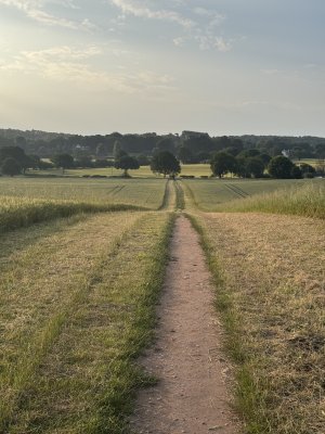 IMG_4383.jpeg IMG_4383.jpeg