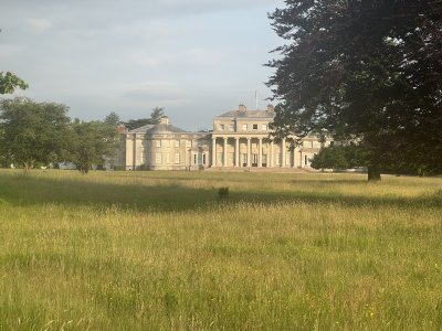 IMG_4390.jpeg IMG_4390.jpeg