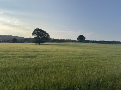 IMG_4387.jpeg IMG_4387.jpeg