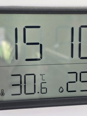 1000025741.jpg 1000025741.jpg