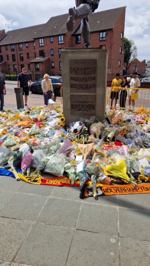 1000011542.jpg 1000011542.jpg