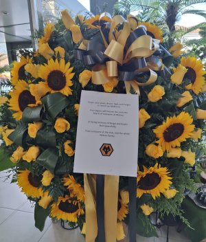 IMG_3022.jpeg IMG_3022.jpeg