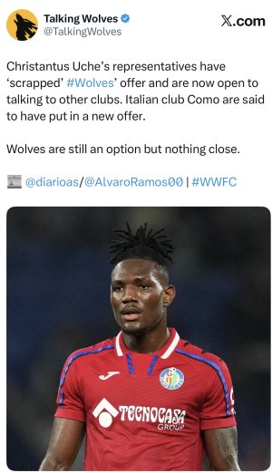 IMG_4233.jpeg IMG_4233.jpeg