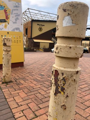 IMG_6003.jpeg IMG_6003.jpeg