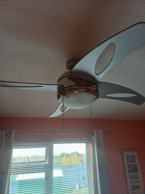 1000168556.jpg 1000168556.jpg