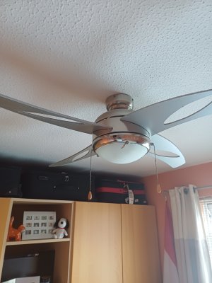 1000168557.jpg 1000168557.jpg