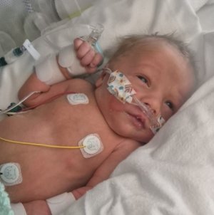 Screenshot_20250916_120216_WhatsApp.jpg Screenshot_20250916_120216_WhatsApp.jpg