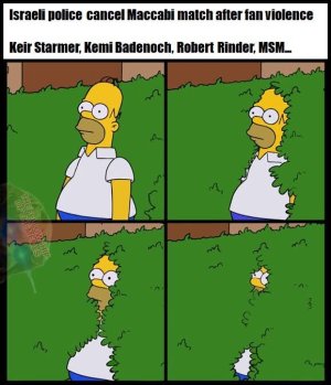 1000041462.jpg 1000041462.jpg