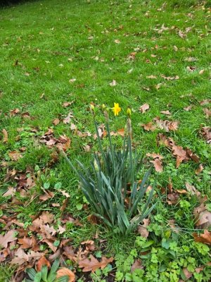 FB_IMG_1764485402304.jpg FB_IMG_1764485402304.jpg