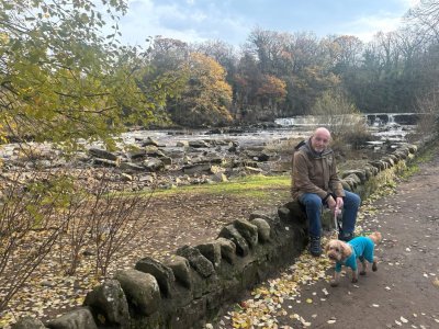 IMG_0978.jpeg IMG_0978.jpeg