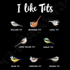 bird-watching---i-like-tits---funny-gif--i_14138514533651413851.png