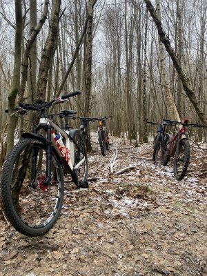 IMG_3744.jpeg IMG_3744.jpeg