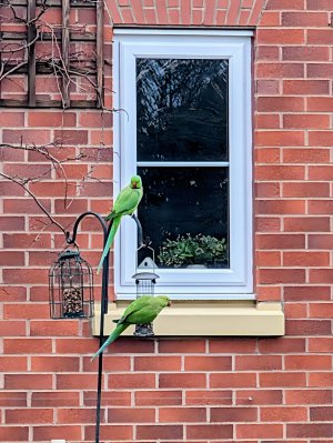 1000005116.jpg 1000005116.jpg