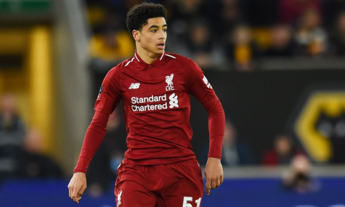 1772463243589.png 1772463243589.png