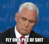 mike pence's fly.jpg