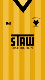 1988 Shirt Phone.jpg