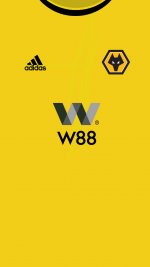 2018 Shirt Phone.jpg