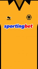 2010 Shirt Phone copy.jpg