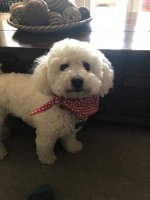 IMG_0691.JPG IMG_0691.JPG