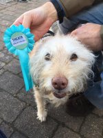 253585708_10159486955879491_6488842004251104538_n.jpg 253585708_10159486955879491_6488842004251104538_n.jpg