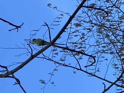 5FFB00F2-B7DD-4907-9930-B6E918753374.jpeg 5FFB00F2-B7DD-4907-9930-B6E918753374.jpeg