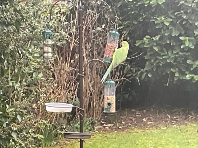 C24C0E9D-A9A6-43AD-99C1-807CA89ED1C4.jpeg C24C0E9D-A9A6-43AD-99C1-807CA89ED1C4.jpeg