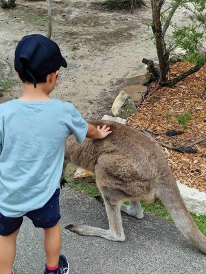 20230127_135236 (2).jpg