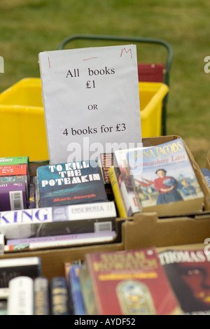 book-stall-at-village-fete-england-uk-aydf52.jpg