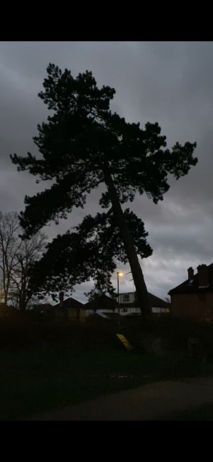 IMG_7727.png IMG_7727.png