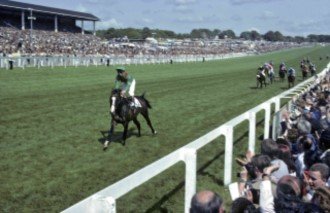 Shergar,_1981_Derby.jpg