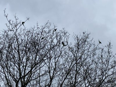 IMG_8152.jpeg IMG_8152.jpeg