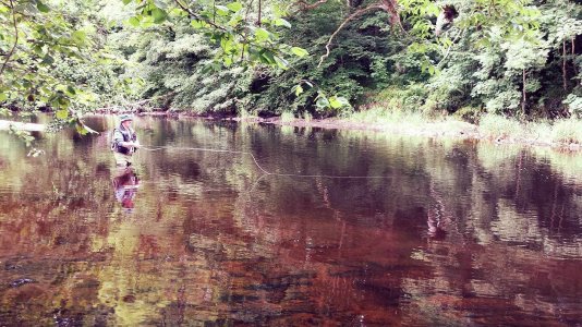 405193683_770806834911377_644474768220562368_n.jpg 405193683_770806834911377_644474768220562368_n.jpg