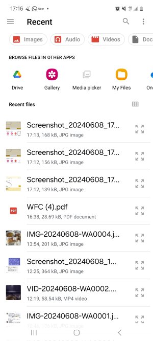Screenshot_20240608_171643_Files.jpg