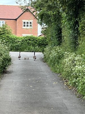 IMG_3393.jpeg IMG_3393.jpeg