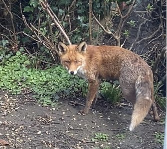 IMG_2124.jpeg IMG_2124.jpeg